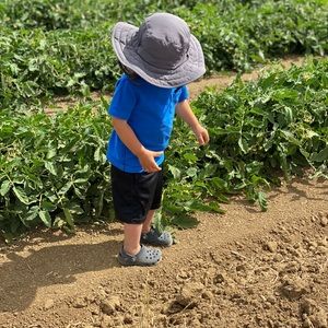 Meet your Posher, Alisa